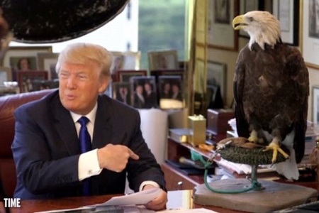 Hilarious Footage Shows Donald Trump Being Attacked By a Bald Eagle ...