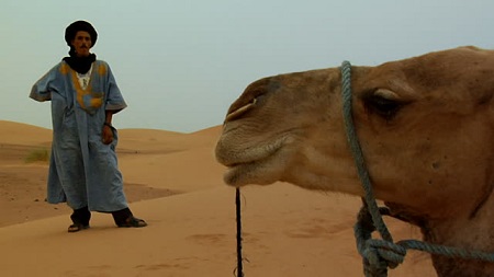 Shocker! Angry Camel Bites Off Its Owner's Head After The Man Left It 