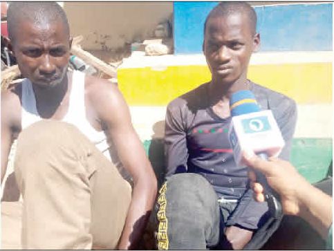 Gombe kidnappers