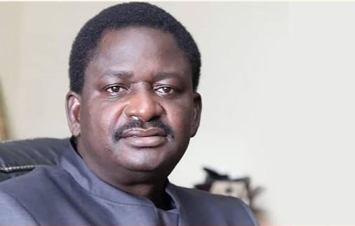 Femi Adesina,