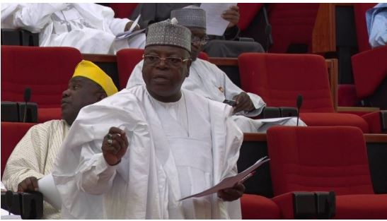 Sen. Ibrahim Gobir 