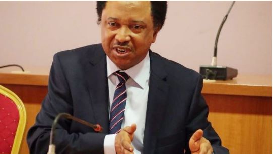 Senator Shehu Sani