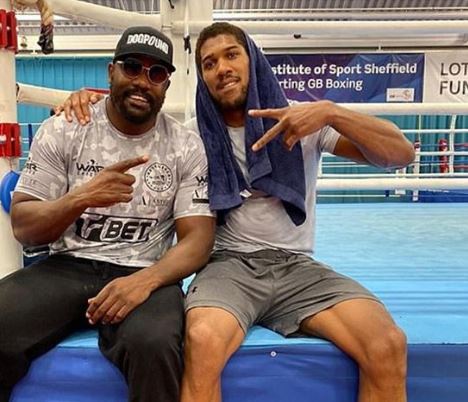 Dereck Chisora, Anthony Joshua