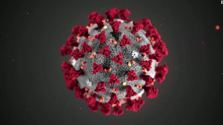 Coronavirus