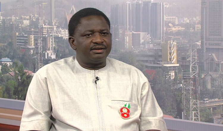 Femi Adesina