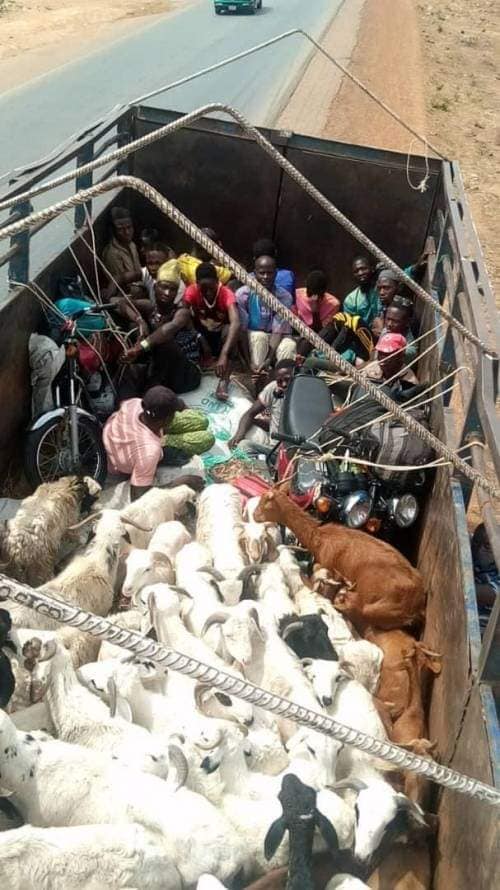 The passengers hidden among rams caught while trying to enter Kaduna