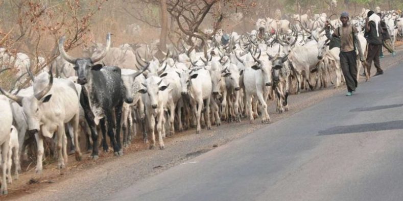 Herdsmen