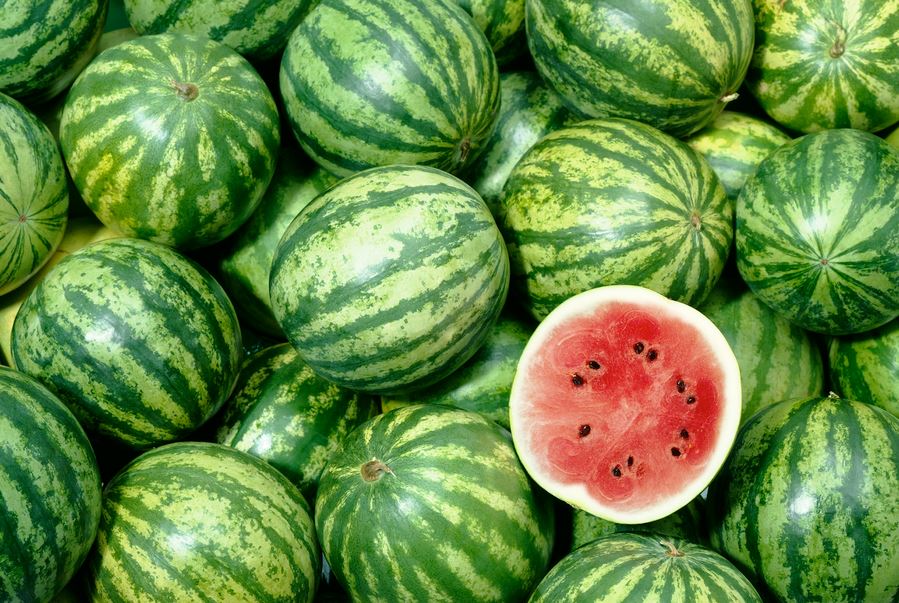 watermelon