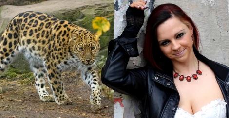 Tragic: Model Mauled By Leopard After Getting Into Its ...