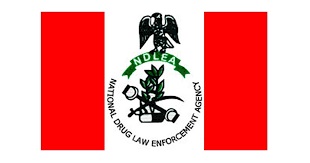 NDLEA