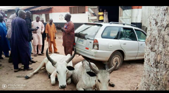 How A 52 Year Old Man Was Nabbed For Alleged Cow Theft In Kwara 