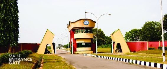 Ilaro Poly