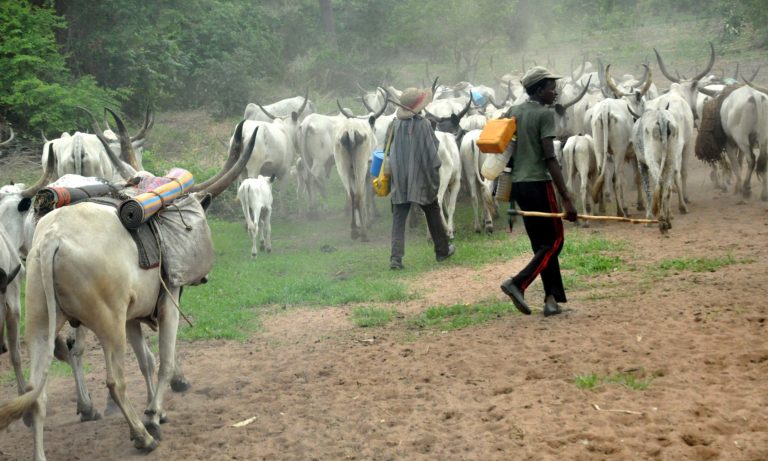 Fulani herdsmen 