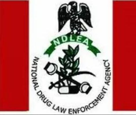 NDLEA