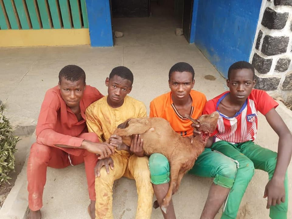 The teenagers arrested for stealing a goat