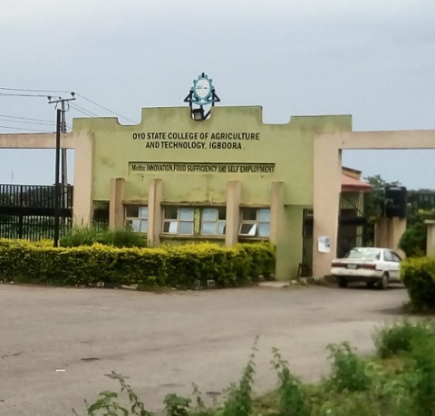 Oyo College