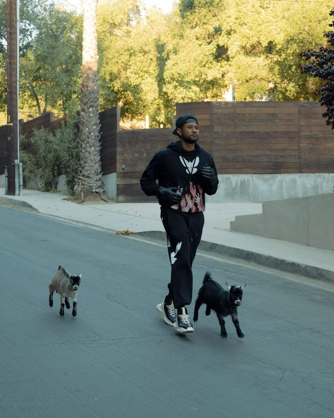 Usher walking his goats