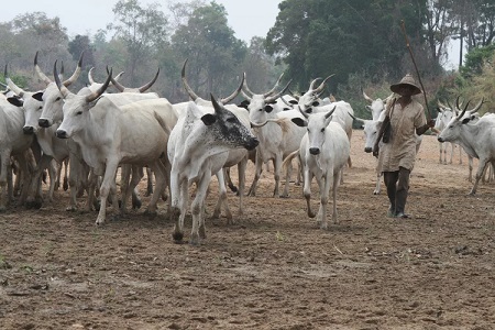 Herdsmen