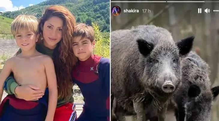 Shakira and sons