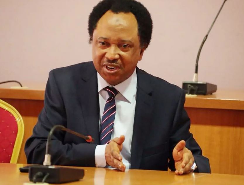 Sheu Sani