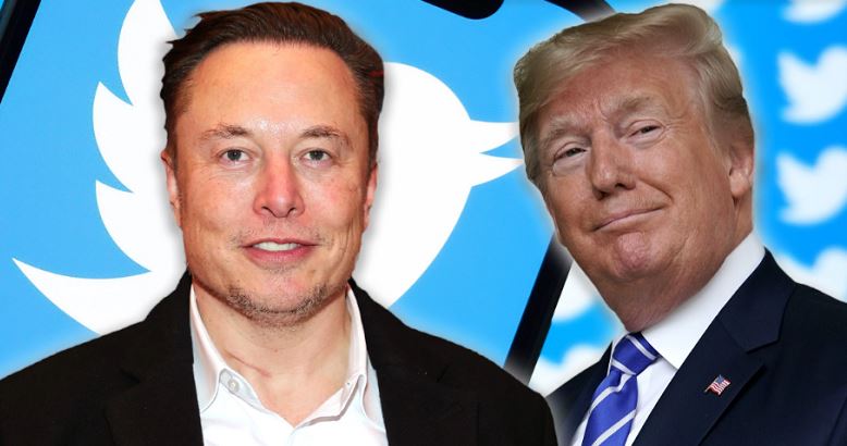 Trump and Elon Musk