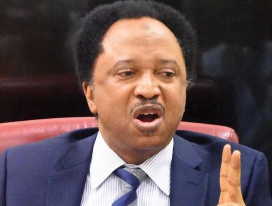 Shehu Sani