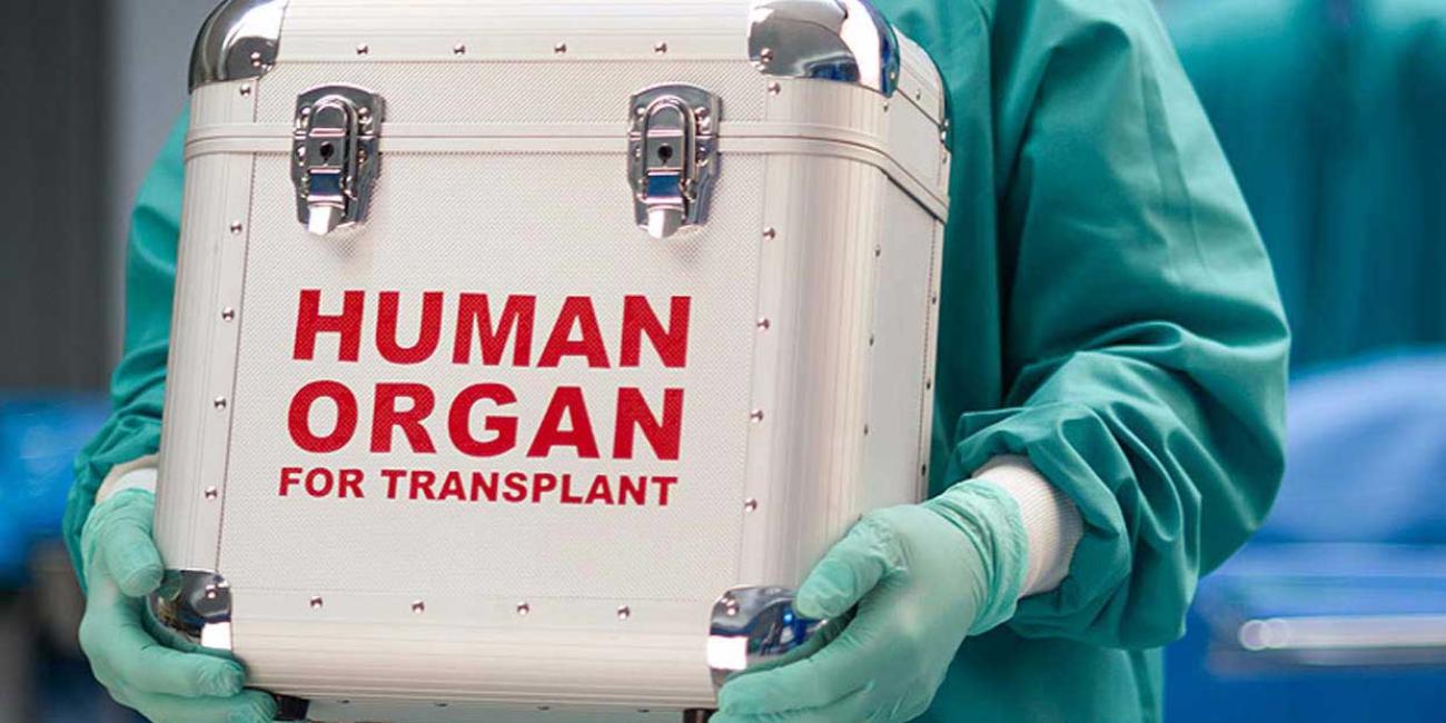 Organ Trafficking