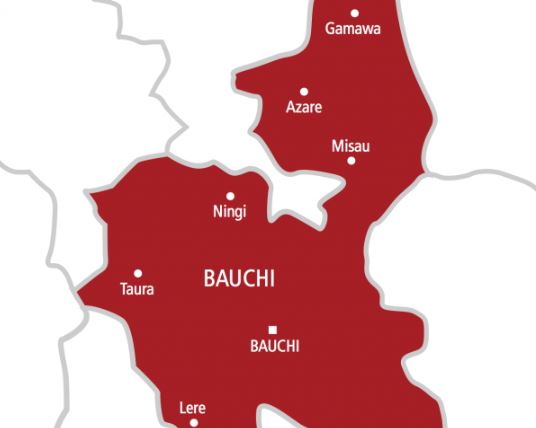 Bauchi State