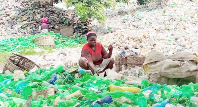 Female scavengers 