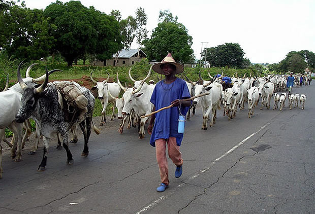 Ogun Hunters