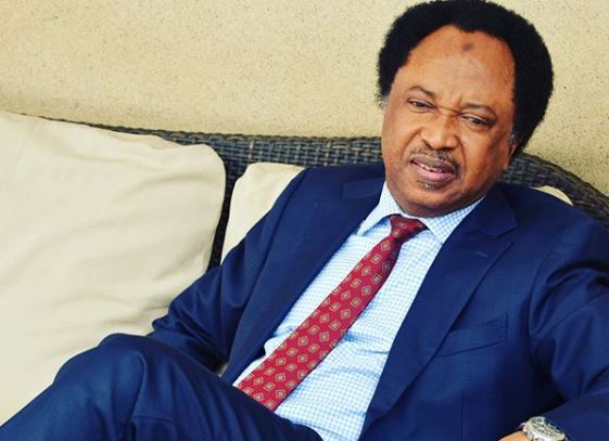 Shehu Sani 