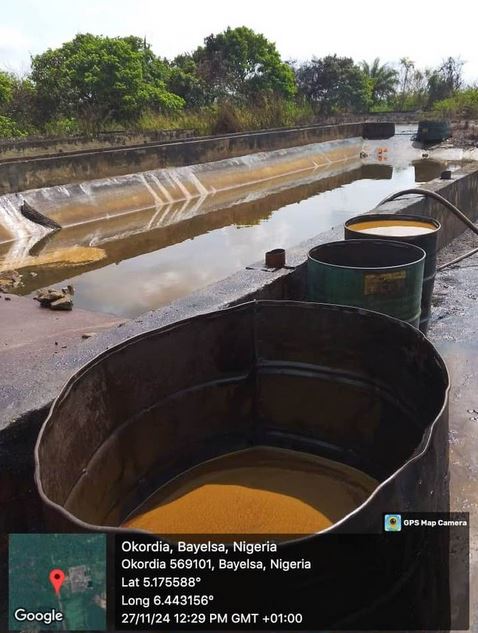 Niger Delta