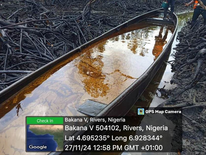 Niger Delta