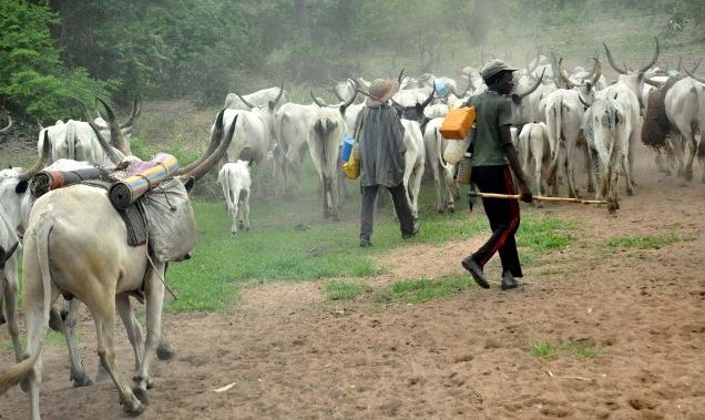 Fulani herdsmen