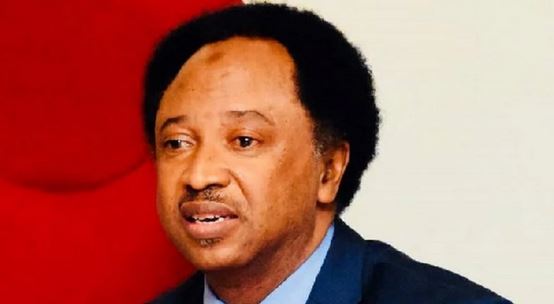 Shehu Sani