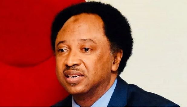 Shehu Sani