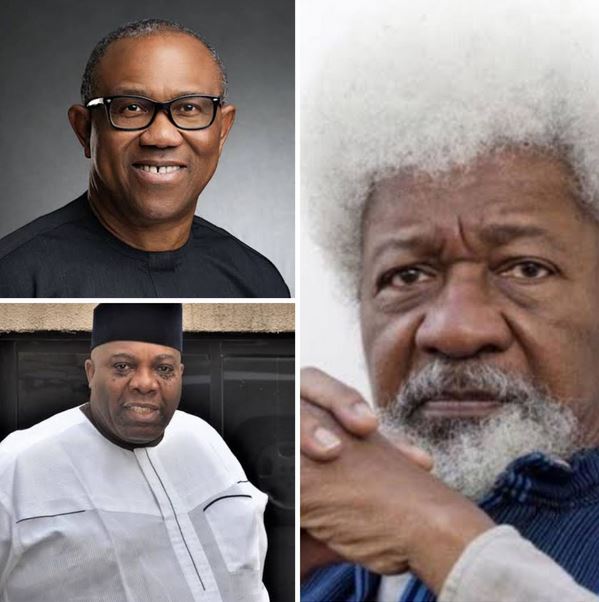 Doyin Okupe, Wole Soyinka, Peter Obi