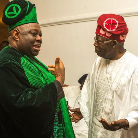 Dele Momodu, Bola Tinub