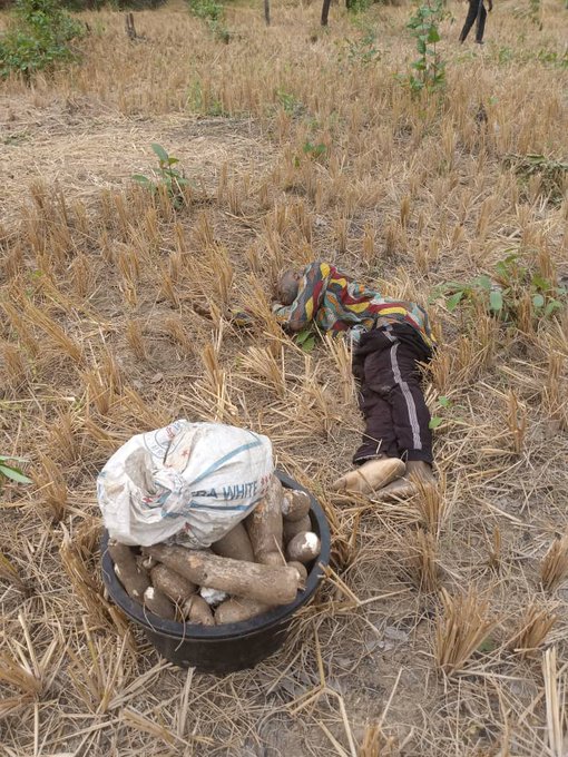 Armed Herdsmen