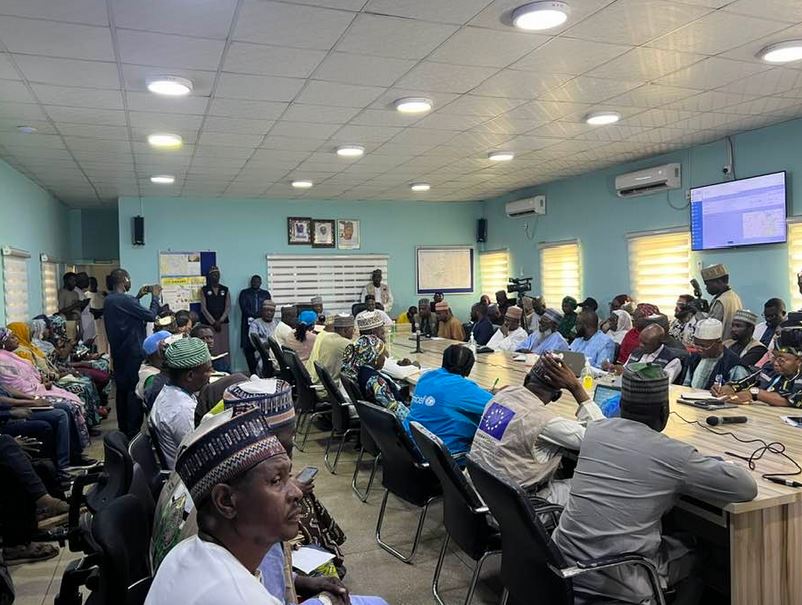 Cholera Outbreak in Borno: 451 Cases Amid Flooding Crisis