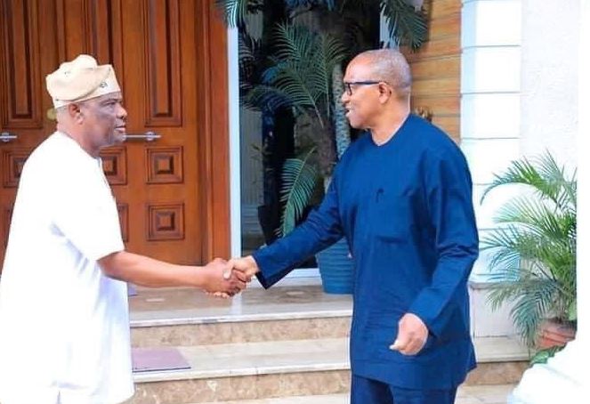 Nyesom Wike, Peter Obi