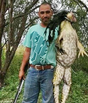 Is This Real? See the Monstrous Bull Frog Dubbed 'Frogzilla' Killed by ...