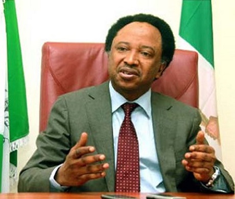 Image result for Senator Shehu Sani Lists Nine Reasons For Extreme Poverty