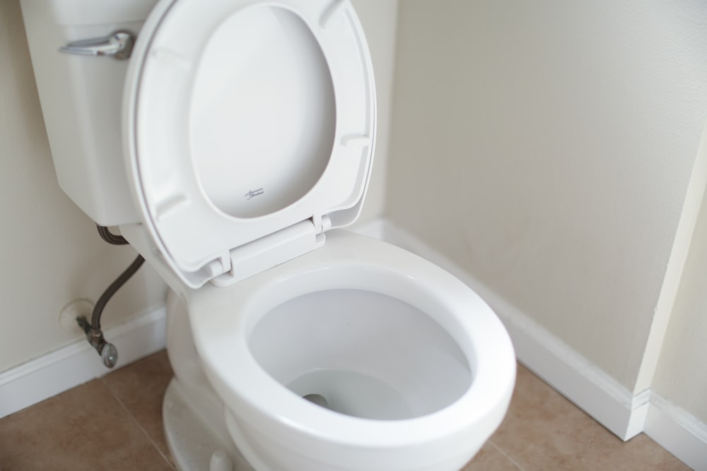 Snake bites in the toilet: 7 ways to protect yourself 